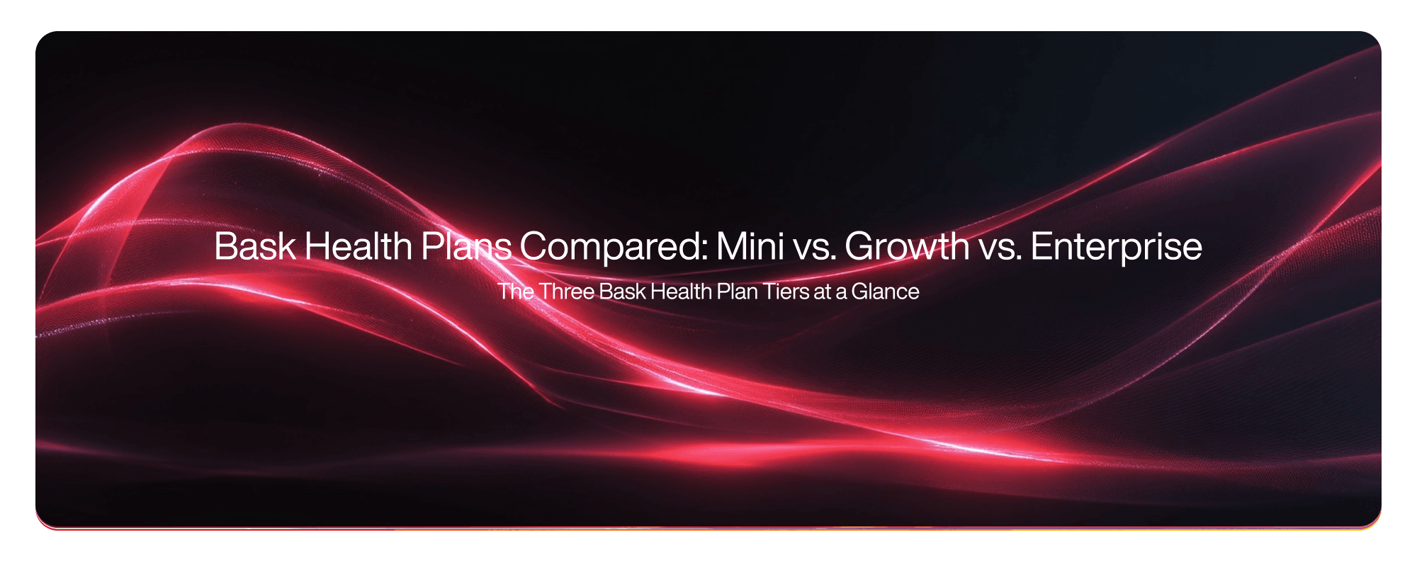 Bask Health Plans Compared: Mini vs. Growth vs. Enterprise